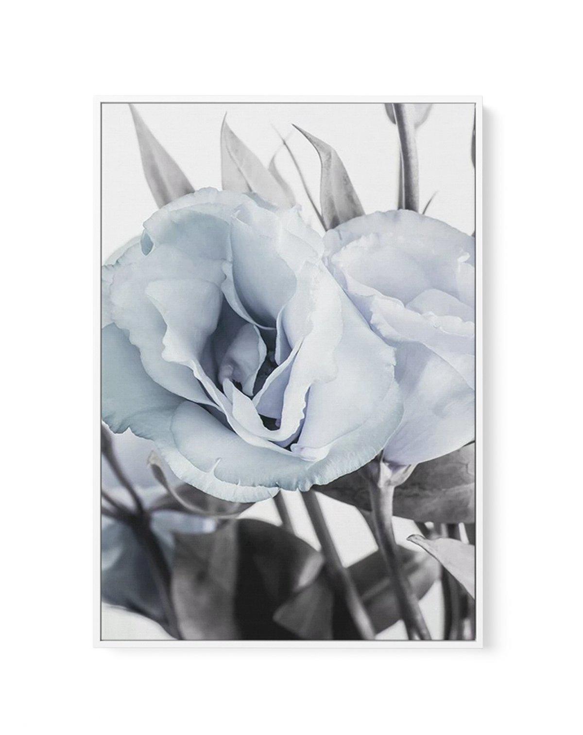 Blue Lisianthus IV | Framed Canvas-CANVAS-You can shop wall art online with Olive et Oriel for everything from abstract art to fun kids wall art. Our beautiful modern art prints and canvas art are available from large canvas prints to wall art paintings and our proudly Australian artwork collection offers only the highest quality framed large wall art and canvas art Australia - You can buy fashion photography prints or Hampton print posters and paintings on canvas from Olive et Oriel and have th