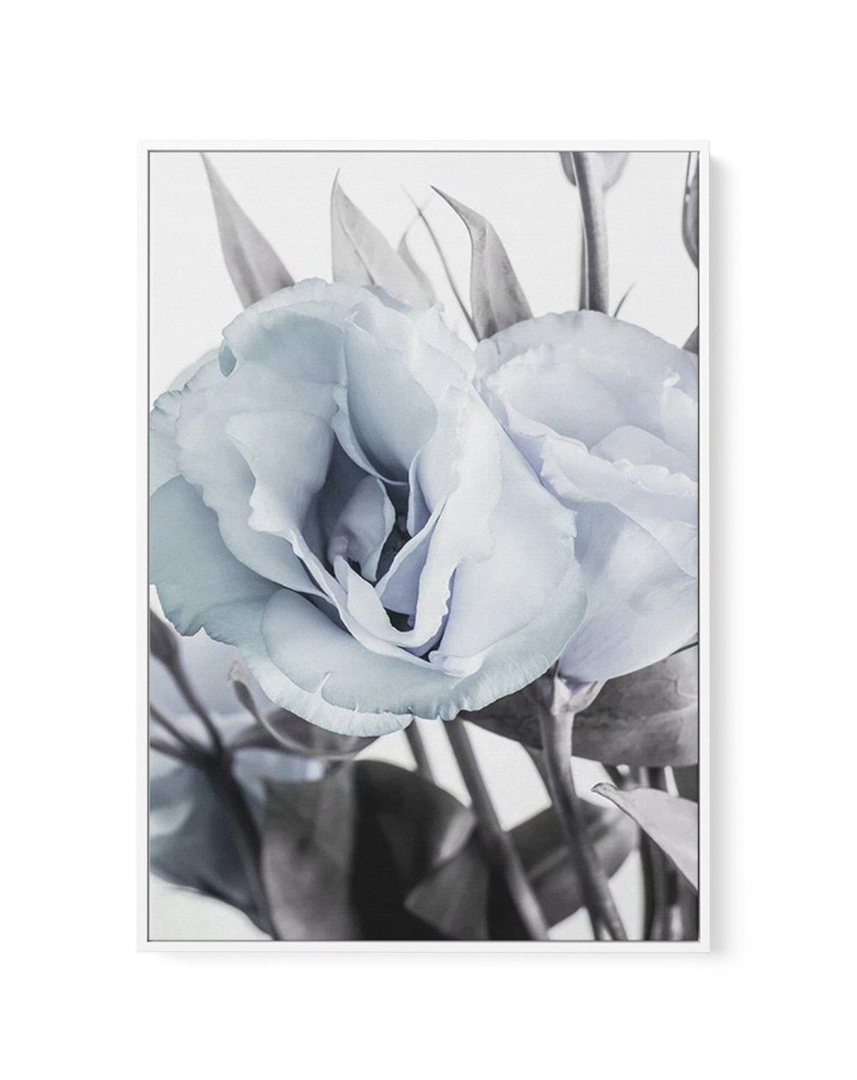 Blue Lisianthus IV | Framed Canvas-CANVAS-You can shop wall art online with Olive et Oriel for everything from abstract art to fun kids wall art. Our beautiful modern art prints and canvas art are available from large canvas prints to wall art paintings and our proudly Australian artwork collection offers only the highest quality framed large wall art and canvas art Australia - You can buy fashion photography prints or Hampton print posters and paintings on canvas from Olive et Oriel and have th