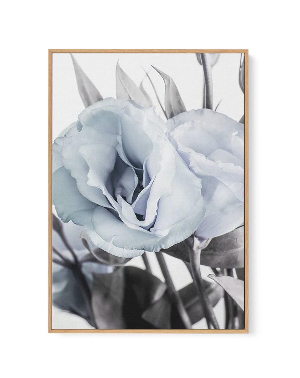 Blue Lisianthus IV | Framed Canvas-CANVAS-You can shop wall art online with Olive et Oriel for everything from abstract art to fun kids wall art. Our beautiful modern art prints and canvas art are available from large canvas prints to wall art paintings and our proudly Australian artwork collection offers only the highest quality framed large wall art and canvas art Australia - You can buy fashion photography prints or Hampton print posters and paintings on canvas from Olive et Oriel and have th