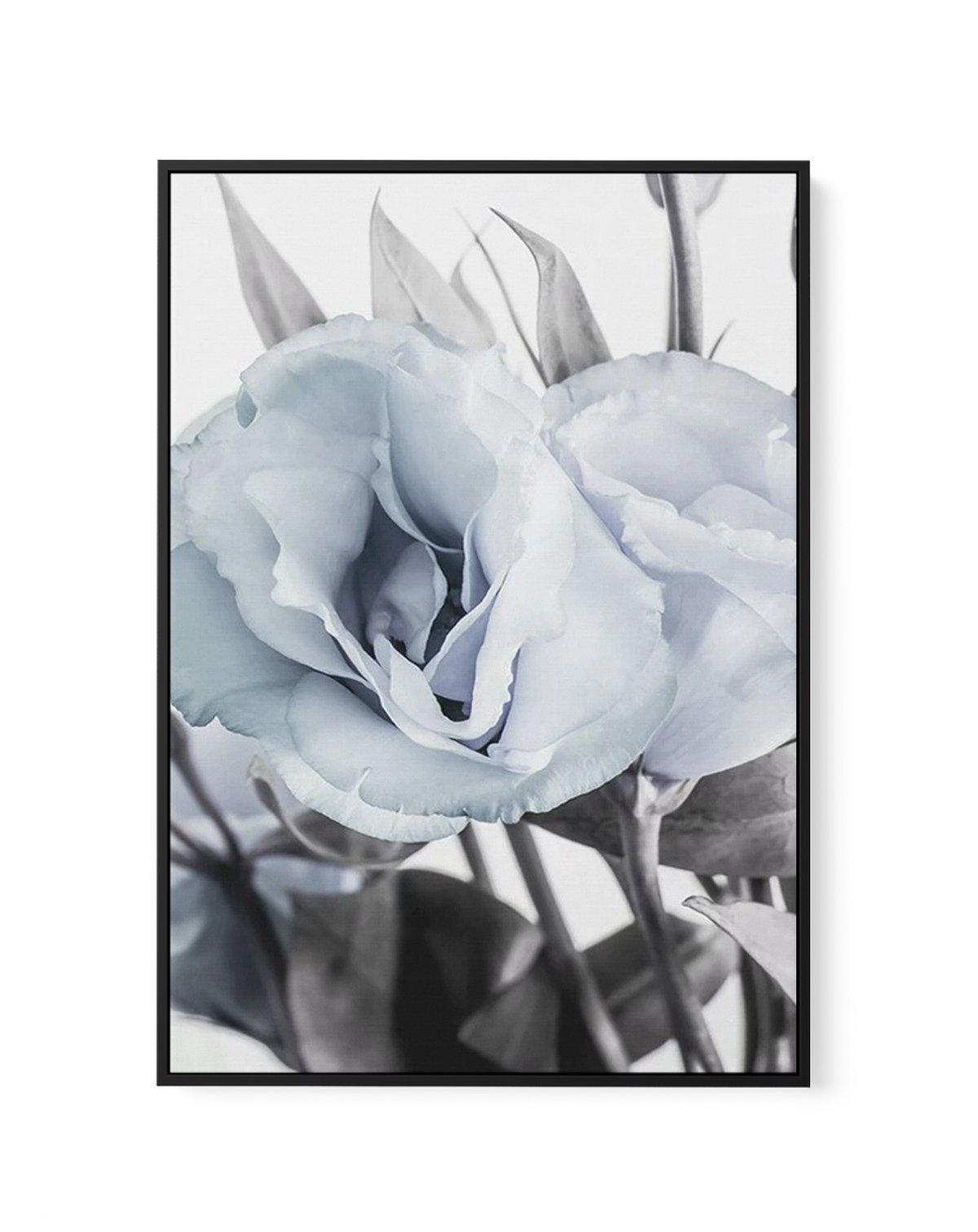 Blue Lisianthus IV | Framed Canvas-CANVAS-You can shop wall art online with Olive et Oriel for everything from abstract art to fun kids wall art. Our beautiful modern art prints and canvas art are available from large canvas prints to wall art paintings and our proudly Australian artwork collection offers only the highest quality framed large wall art and canvas art Australia - You can buy fashion photography prints or Hampton print posters and paintings on canvas from Olive et Oriel and have th