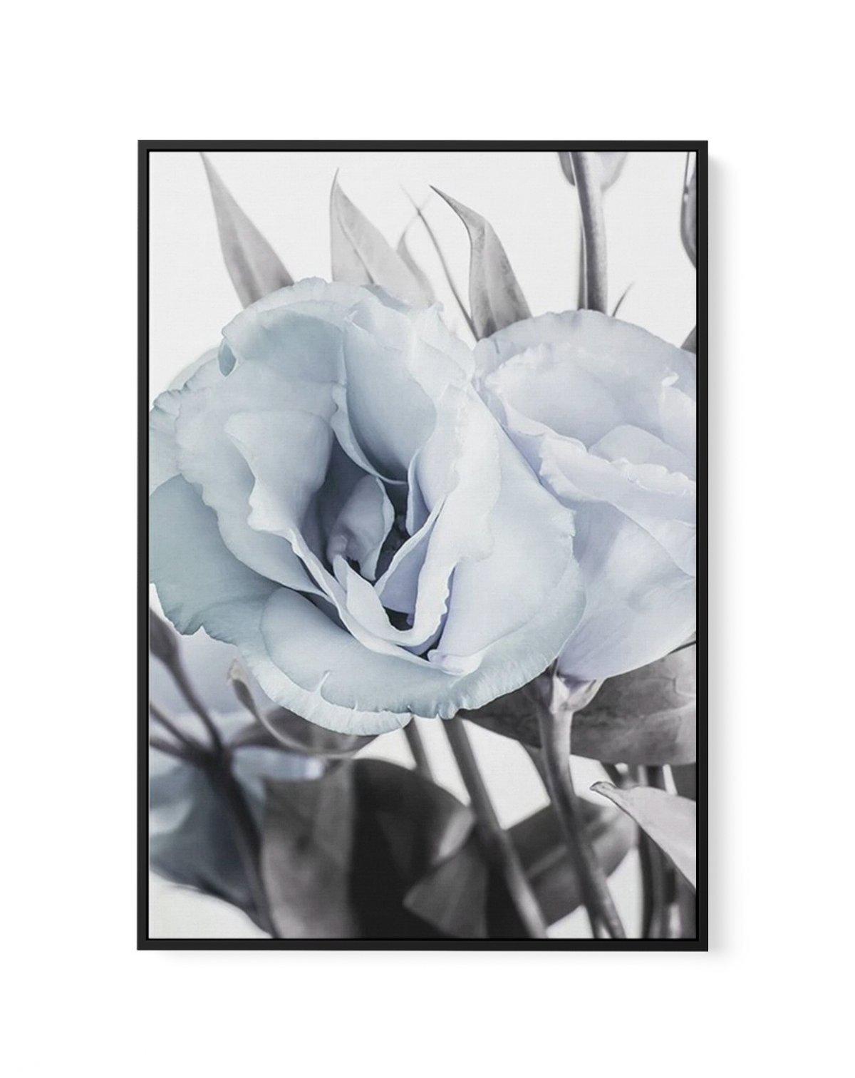 Blue Lisianthus IV | Framed Canvas-CANVAS-You can shop wall art online with Olive et Oriel for everything from abstract art to fun kids wall art. Our beautiful modern art prints and canvas art are available from large canvas prints to wall art paintings and our proudly Australian artwork collection offers only the highest quality framed large wall art and canvas art Australia - You can buy fashion photography prints or Hampton print posters and paintings on canvas from Olive et Oriel and have th