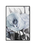 Blue Lisianthus IV | Framed Canvas-CANVAS-You can shop wall art online with Olive et Oriel for everything from abstract art to fun kids wall art. Our beautiful modern art prints and canvas art are available from large canvas prints to wall art paintings and our proudly Australian artwork collection offers only the highest quality framed large wall art and canvas art Australia - You can buy fashion photography prints or Hampton print posters and paintings on canvas from Olive et Oriel and have th