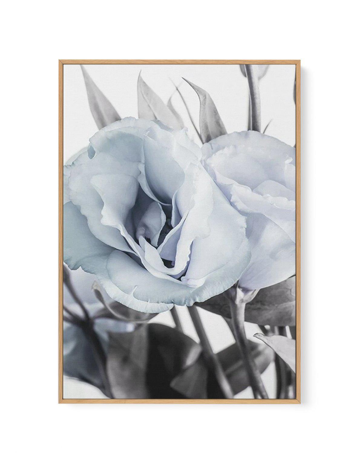 Blue Lisianthus IV | Framed Canvas-CANVAS-You can shop wall art online with Olive et Oriel for everything from abstract art to fun kids wall art. Our beautiful modern art prints and canvas art are available from large canvas prints to wall art paintings and our proudly Australian artwork collection offers only the highest quality framed large wall art and canvas art Australia - You can buy fashion photography prints or Hampton print posters and paintings on canvas from Olive et Oriel and have th