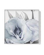 Blue Lisianthus IV SQ | Framed Canvas-CANVAS-You can shop wall art online with Olive et Oriel for everything from abstract art to fun kids wall art. Our beautiful modern art prints and canvas art are available from large canvas prints to wall art paintings and our proudly Australian artwork collection offers only the highest quality framed large wall art and canvas art Australia - You can buy fashion photography prints or Hampton print posters and paintings on canvas from Olive et Oriel and have