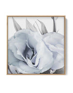 Blue Lisianthus IV SQ | Framed Canvas-CANVAS-You can shop wall art online with Olive et Oriel for everything from abstract art to fun kids wall art. Our beautiful modern art prints and canvas art are available from large canvas prints to wall art paintings and our proudly Australian artwork collection offers only the highest quality framed large wall art and canvas art Australia - You can buy fashion photography prints or Hampton print posters and paintings on canvas from Olive et Oriel and have