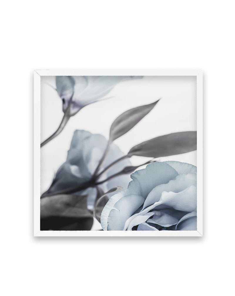 Blue Lisianthus I | SQ Art Print-PRINT-Olive et Oriel-Olive et Oriel-70x70 cm | 27.5" x 27.5"-White-With White Border-Buy-Australian-Art-Prints-Online-with-Olive-et-Oriel-Your-Artwork-Specialists-Austrailia-Decorate-With-Coastal-Photo-Wall-Art-Prints-From-Our-Beach-House-Artwork-Collection-Fine-Poster-and-Framed-Artwork