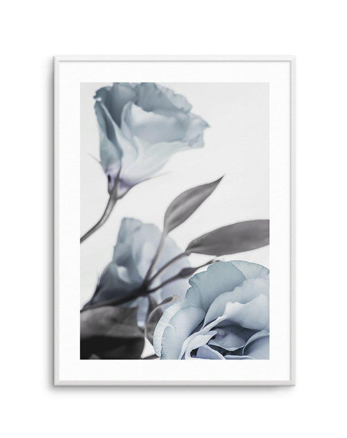 Blue Lisianthus I Art Print-PRINT-Olive et Oriel-Olive et Oriel-A5 | 5.8" x 8.3" | 14.8 x 21cm-Unframed Art Print-With White Border-Buy-Australian-Art-Prints-Online-with-Olive-et-Oriel-Your-Artwork-Specialists-Austrailia-Decorate-With-Coastal-Photo-Wall-Art-Prints-From-Our-Beach-House-Artwork-Collection-Fine-Poster-and-Framed-Artwork
