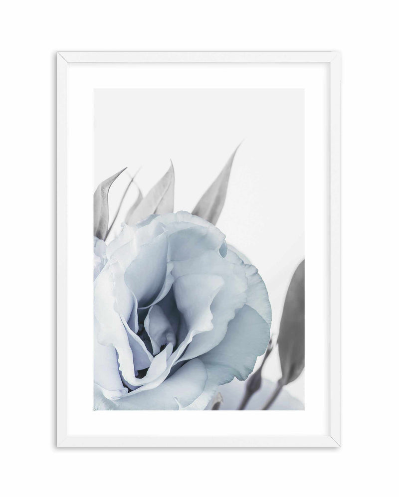 Blue Lisianthus III Art Print-PRINT-Olive et Oriel-Olive et Oriel-A5 | 5.8" x 8.3" | 14.8 x 21cm-White-With White Border-Buy-Australian-Art-Prints-Online-with-Olive-et-Oriel-Your-Artwork-Specialists-Austrailia-Decorate-With-Coastal-Photo-Wall-Art-Prints-From-Our-Beach-House-Artwork-Collection-Fine-Poster-and-Framed-Artwork