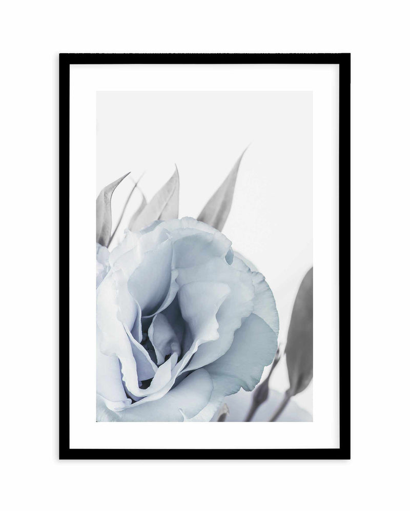 Blue Lisianthus III Art Print-PRINT-Olive et Oriel-Olive et Oriel-A5 | 5.8" x 8.3" | 14.8 x 21cm-Black-With White Border-Buy-Australian-Art-Prints-Online-with-Olive-et-Oriel-Your-Artwork-Specialists-Austrailia-Decorate-With-Coastal-Photo-Wall-Art-Prints-From-Our-Beach-House-Artwork-Collection-Fine-Poster-and-Framed-Artwork