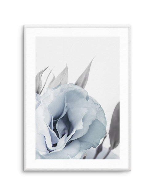 Blue Lisianthus III Art Print-PRINT-Olive et Oriel-Olive et Oriel-A5 | 5.8" x 8.3" | 14.8 x 21cm-Unframed Art Print-With White Border-Buy-Australian-Art-Prints-Online-with-Olive-et-Oriel-Your-Artwork-Specialists-Austrailia-Decorate-With-Coastal-Photo-Wall-Art-Prints-From-Our-Beach-House-Artwork-Collection-Fine-Poster-and-Framed-Artwork