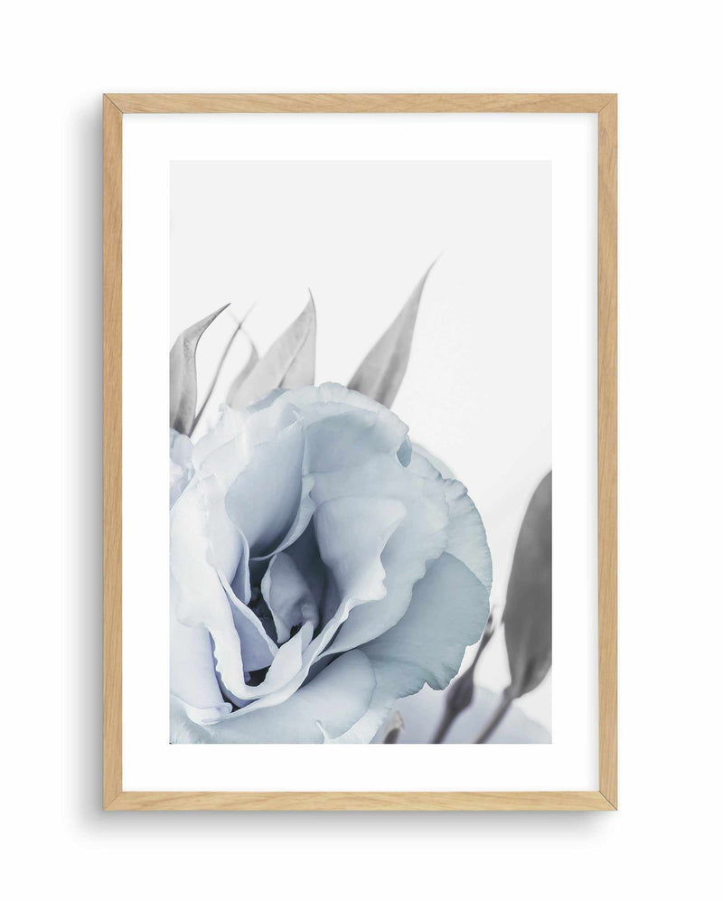 Blue Lisianthus III Art Print-PRINT-Olive et Oriel-Olive et Oriel-A5 | 5.8" x 8.3" | 14.8 x 21cm-Oak-With White Border-Buy-Australian-Art-Prints-Online-with-Olive-et-Oriel-Your-Artwork-Specialists-Austrailia-Decorate-With-Coastal-Photo-Wall-Art-Prints-From-Our-Beach-House-Artwork-Collection-Fine-Poster-and-Framed-Artwork