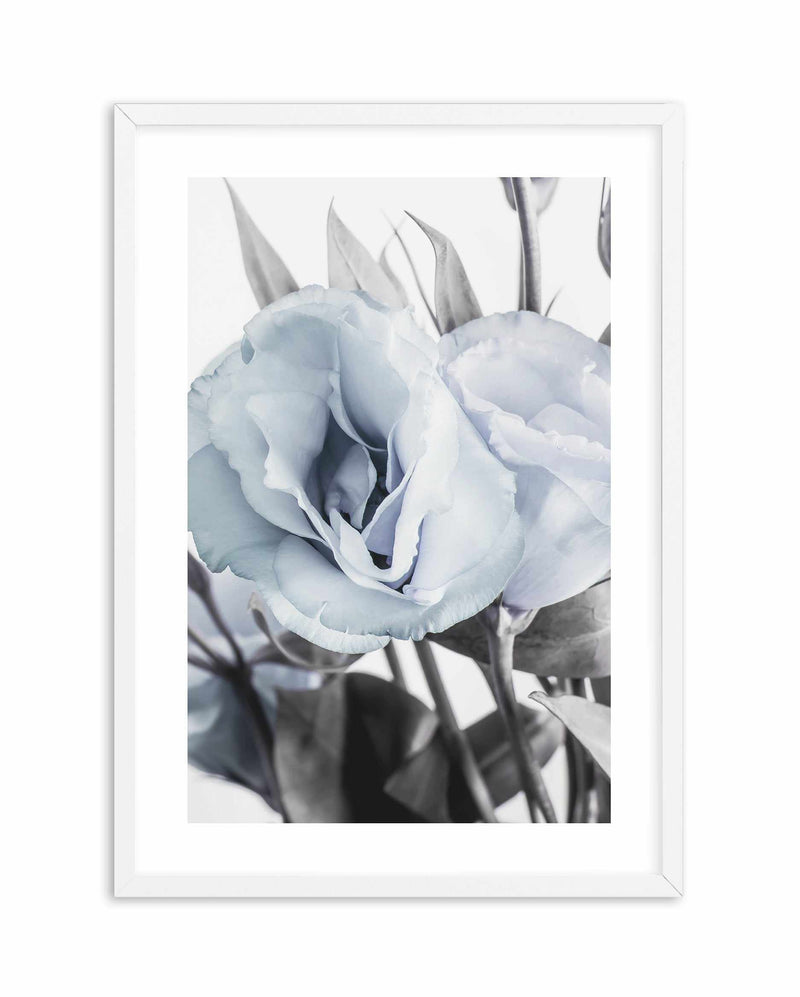 Blue Lisianthus IV Art Print-PRINT-Olive et Oriel-Olive et Oriel-A5 | 5.8" x 8.3" | 14.8 x 21cm-White-With White Border-Buy-Australian-Art-Prints-Online-with-Olive-et-Oriel-Your-Artwork-Specialists-Austrailia-Decorate-With-Coastal-Photo-Wall-Art-Prints-From-Our-Beach-House-Artwork-Collection-Fine-Poster-and-Framed-Artwork