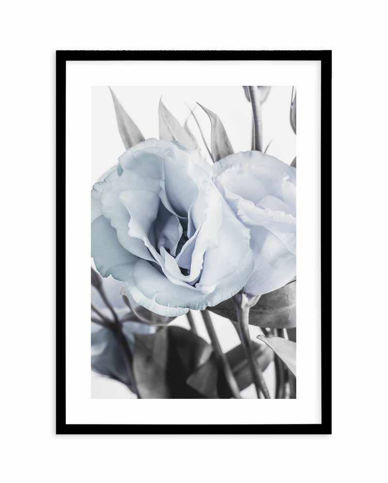 Blue Lisianthus IV Art Print-PRINT-Olive et Oriel-Olive et Oriel-A5 | 5.8" x 8.3" | 14.8 x 21cm-Black-With White Border-Buy-Australian-Art-Prints-Online-with-Olive-et-Oriel-Your-Artwork-Specialists-Austrailia-Decorate-With-Coastal-Photo-Wall-Art-Prints-From-Our-Beach-House-Artwork-Collection-Fine-Poster-and-Framed-Artwork