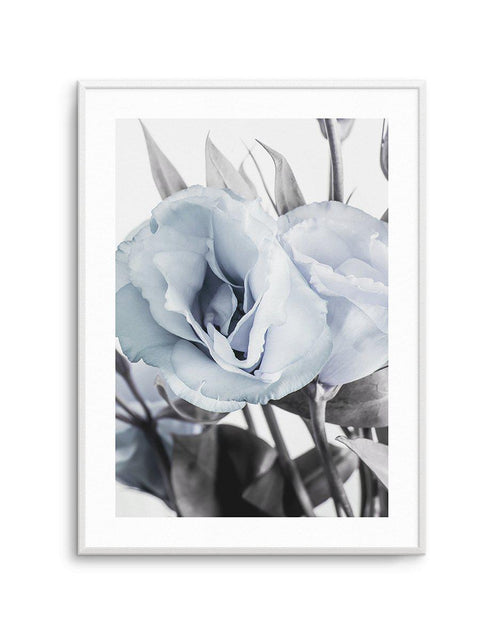 Blue Lisianthus IV Art Print-PRINT-Olive et Oriel-Olive et Oriel-A5 | 5.8" x 8.3" | 14.8 x 21cm-Unframed Art Print-With White Border-Buy-Australian-Art-Prints-Online-with-Olive-et-Oriel-Your-Artwork-Specialists-Austrailia-Decorate-With-Coastal-Photo-Wall-Art-Prints-From-Our-Beach-House-Artwork-Collection-Fine-Poster-and-Framed-Artwork