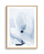 Blue Magnolia Art Print-PRINT-Olive et Oriel-Olive et Oriel-A5 | 5.8" x 8.3" | 14.8 x 21cm-Oak-With White Border-Buy-Australian-Art-Prints-Online-with-Olive-et-Oriel-Your-Artwork-Specialists-Austrailia-Decorate-With-Coastal-Photo-Wall-Art-Prints-From-Our-Beach-House-Artwork-Collection-Fine-Poster-and-Framed-Artwork