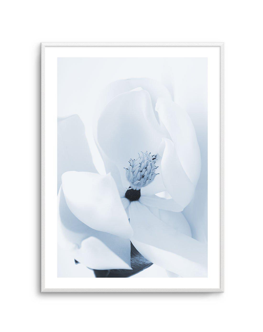 Blue Magnolia Art Print-PRINT-Olive et Oriel-Olive et Oriel-A5 | 5.8" x 8.3" | 14.8 x 21cm-Unframed Art Print-With White Border-Buy-Australian-Art-Prints-Online-with-Olive-et-Oriel-Your-Artwork-Specialists-Austrailia-Decorate-With-Coastal-Photo-Wall-Art-Prints-From-Our-Beach-House-Artwork-Collection-Fine-Poster-and-Framed-Artwork