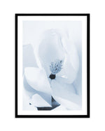 Blue Magnolia Art Print-PRINT-Olive et Oriel-Olive et Oriel-A5 | 5.8" x 8.3" | 14.8 x 21cm-Black-With White Border-Buy-Australian-Art-Prints-Online-with-Olive-et-Oriel-Your-Artwork-Specialists-Austrailia-Decorate-With-Coastal-Photo-Wall-Art-Prints-From-Our-Beach-House-Artwork-Collection-Fine-Poster-and-Framed-Artwork