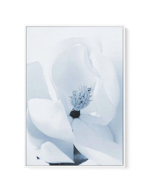 Blue Magnolia | Framed Canvas-CANVAS-You can shop wall art online with Olive et Oriel for everything from abstract art to fun kids wall art. Our beautiful modern art prints and canvas art are available from large canvas prints to wall art paintings and our proudly Australian artwork collection offers only the highest quality framed large wall art and canvas art Australia - You can buy fashion photography prints or Hampton print posters and paintings on canvas from Olive et Oriel and have them de