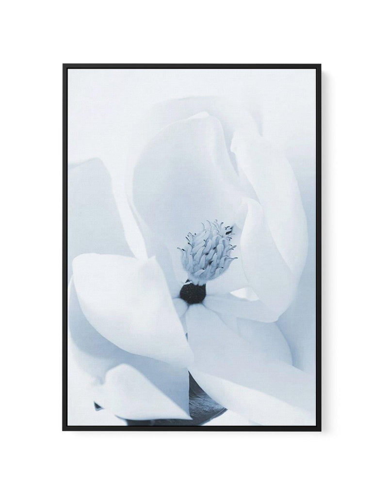Blue Magnolia | Framed Canvas-CANVAS-You can shop wall art online with Olive et Oriel for everything from abstract art to fun kids wall art. Our beautiful modern art prints and canvas art are available from large canvas prints to wall art paintings and our proudly Australian artwork collection offers only the highest quality framed large wall art and canvas art Australia - You can buy fashion photography prints or Hampton print posters and paintings on canvas from Olive et Oriel and have them de