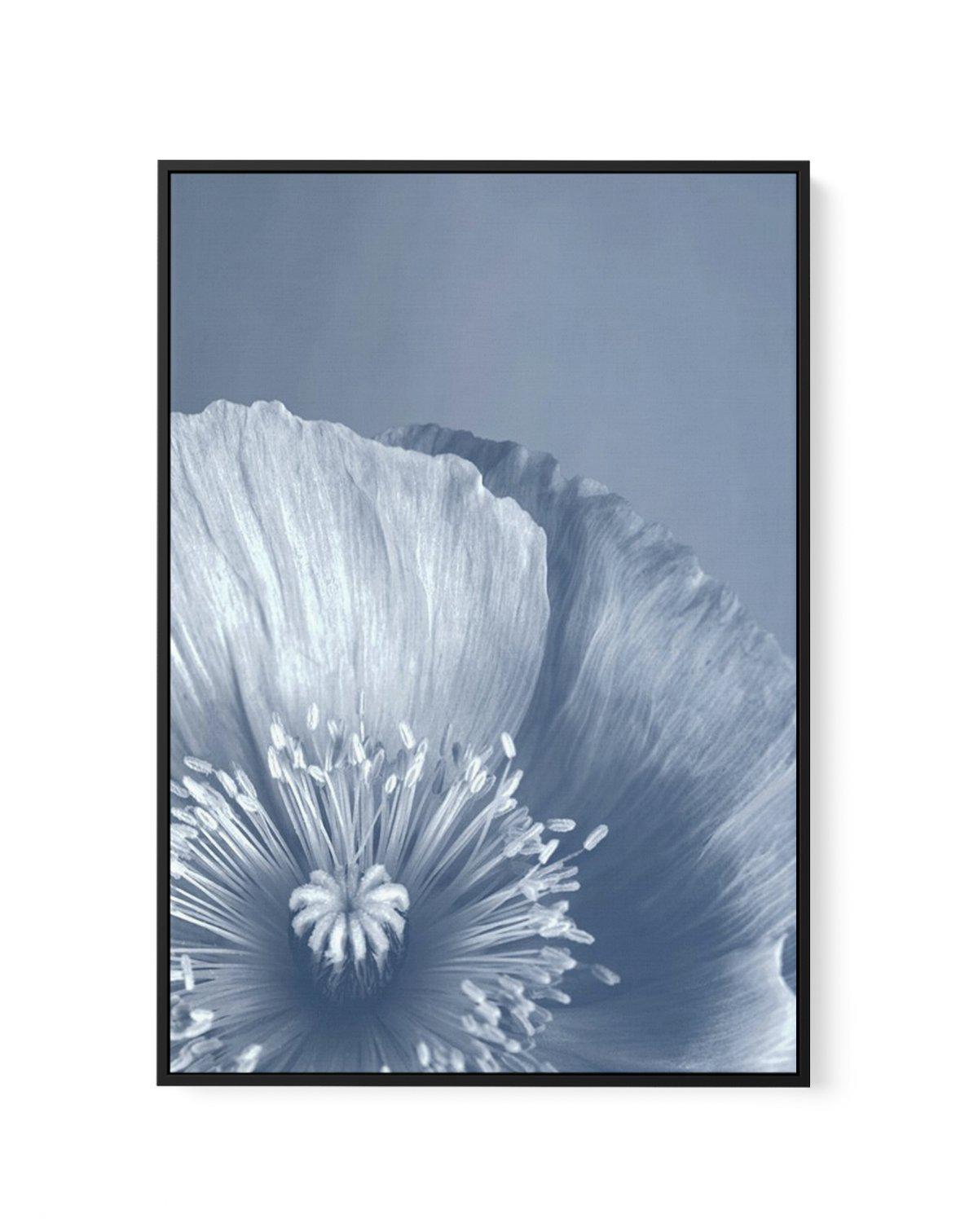 Blue Poppy I | Framed Canvas-CANVAS-You can shop wall art online with Olive et Oriel for everything from abstract art to fun kids wall art. Our beautiful modern art prints and canvas art are available from large canvas prints to wall art paintings and our proudly Australian artwork collection offers only the highest quality framed large wall art and canvas art Australia - You can buy fashion photography prints or Hampton print posters and paintings on canvas from Olive et Oriel and have them del