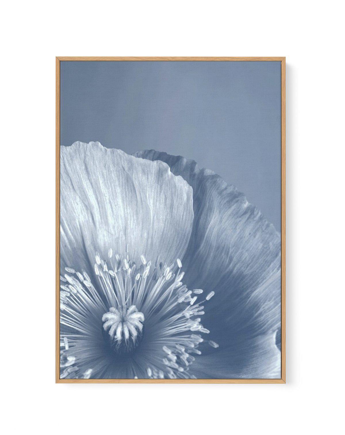 Blue Poppy I | Framed Canvas-CANVAS-You can shop wall art online with Olive et Oriel for everything from abstract art to fun kids wall art. Our beautiful modern art prints and canvas art are available from large canvas prints to wall art paintings and our proudly Australian artwork collection offers only the highest quality framed large wall art and canvas art Australia - You can buy fashion photography prints or Hampton print posters and paintings on canvas from Olive et Oriel and have them del