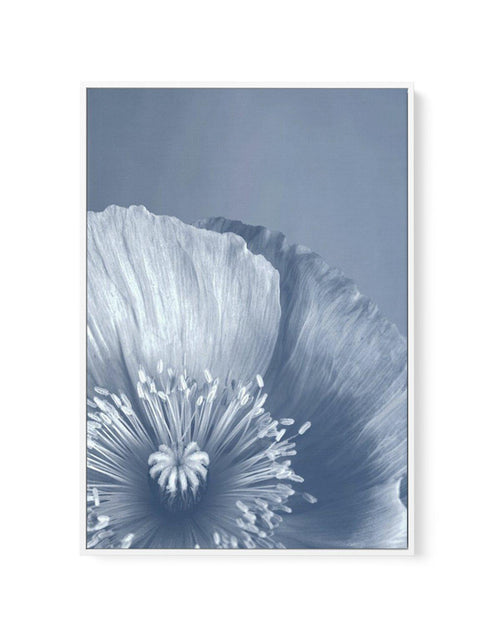 Blue Poppy II | Framed Canvas-CANVAS-You can shop wall art online with Olive et Oriel for everything from abstract art to fun kids wall art. Our beautiful modern art prints and canvas art are available from large canvas prints to wall art paintings and our proudly Australian artwork collection offers only the highest quality framed large wall art and canvas art Australia - You can buy fashion photography prints or Hampton print posters and paintings on canvas from Olive et Oriel and have them de