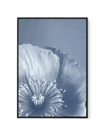 Blue Poppy II | Framed Canvas-CANVAS-You can shop wall art online with Olive et Oriel for everything from abstract art to fun kids wall art. Our beautiful modern art prints and canvas art are available from large canvas prints to wall art paintings and our proudly Australian artwork collection offers only the highest quality framed large wall art and canvas art Australia - You can buy fashion photography prints or Hampton print posters and paintings on canvas from Olive et Oriel and have them de