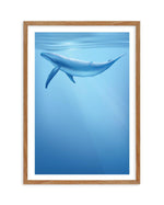 Blue Whale | Graphic Whales Collection Art Print-PRINT-Olive et Oriel-Olive et Oriel-50x70 cm | 19.6" x 27.5"-Walnut-With White Border-Buy-Australian-Art-Prints-Online-with-Olive-et-Oriel-Your-Artwork-Specialists-Austrailia-Decorate-With-Coastal-Photo-Wall-Art-Prints-From-Our-Beach-House-Artwork-Collection-Fine-Poster-and-Framed-Artwork