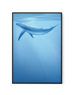 Blue Whale | Graphic Whales Collection | Framed Canvas-CANVAS-You can shop wall art online with Olive et Oriel for everything from abstract art to fun kids wall art. Our beautiful modern art prints and canvas art are available from large canvas prints to wall art paintings and our proudly Australian artwork collection offers only the highest quality framed large wall art and canvas art Australia - You can buy fashion photography prints or Hampton print posters and paintings on canvas from Olive 