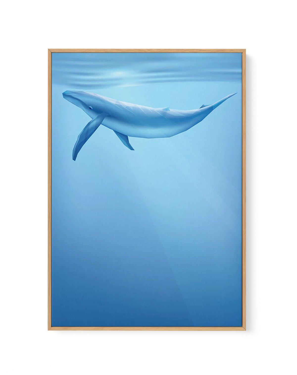 Blue Whale | Graphic Whales Collection | Framed Canvas-CANVAS-You can shop wall art online with Olive et Oriel for everything from abstract art to fun kids wall art. Our beautiful modern art prints and canvas art are available from large canvas prints to wall art paintings and our proudly Australian artwork collection offers only the highest quality framed large wall art and canvas art Australia - You can buy fashion photography prints or Hampton print posters and paintings on canvas from Olive 