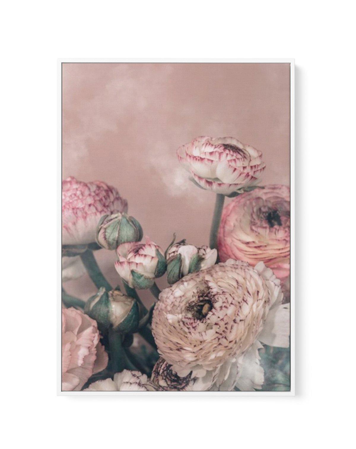 Blush Ranunculus | Framed Canvas-CANVAS-You can shop wall art online with Olive et Oriel for everything from abstract art to fun kids wall art. Our beautiful modern art prints and canvas art are available from large canvas prints to wall art paintings and our proudly Australian artwork collection offers only the highest quality framed large wall art and canvas art Australia - You can buy fashion photography prints or Hampton print posters and paintings on canvas from Olive et Oriel and have them