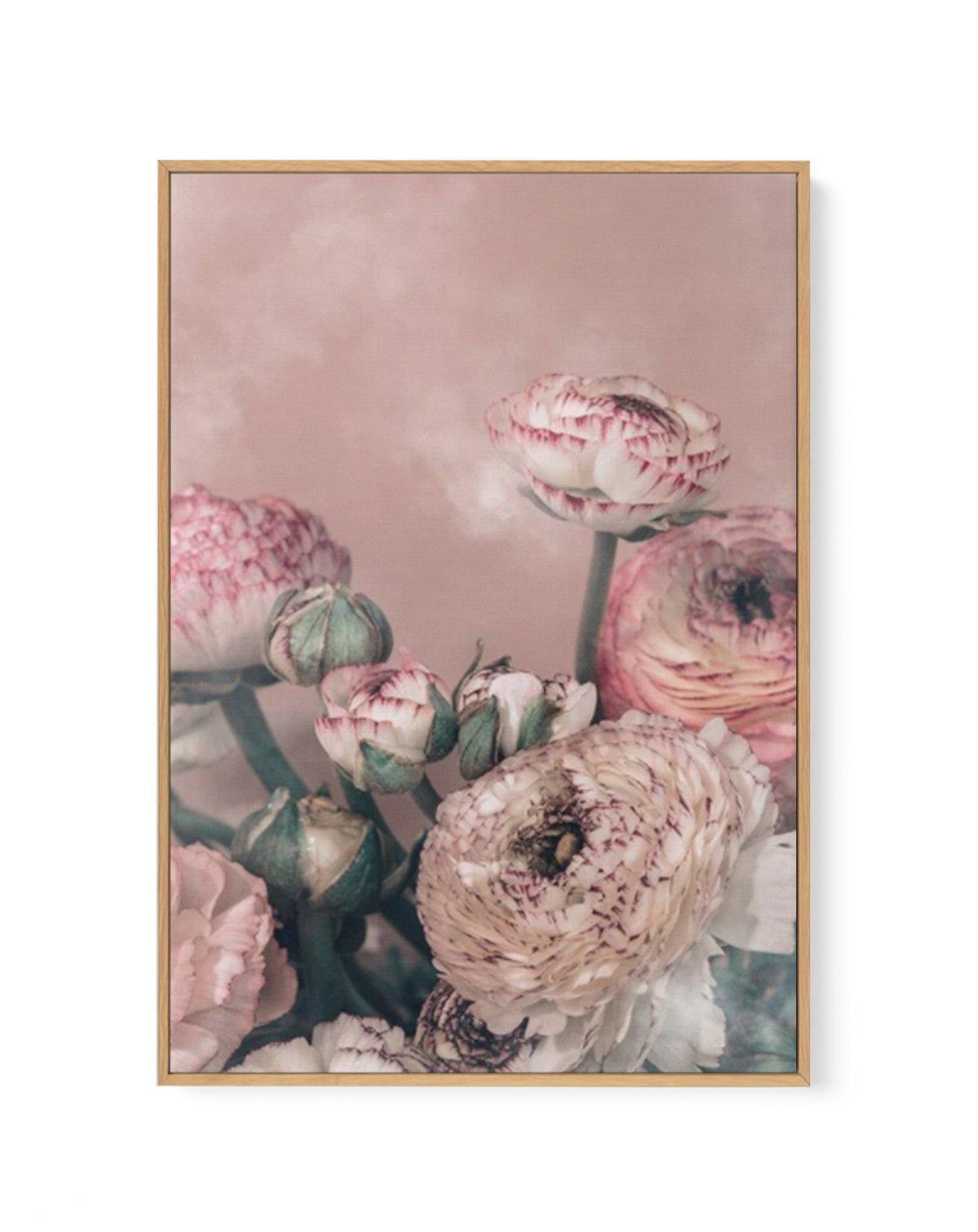 Blush Ranunculus | Framed Canvas-CANVAS-You can shop wall art online with Olive et Oriel for everything from abstract art to fun kids wall art. Our beautiful modern art prints and canvas art are available from large canvas prints to wall art paintings and our proudly Australian artwork collection offers only the highest quality framed large wall art and canvas art Australia - You can buy fashion photography prints or Hampton print posters and paintings on canvas from Olive et Oriel and have them