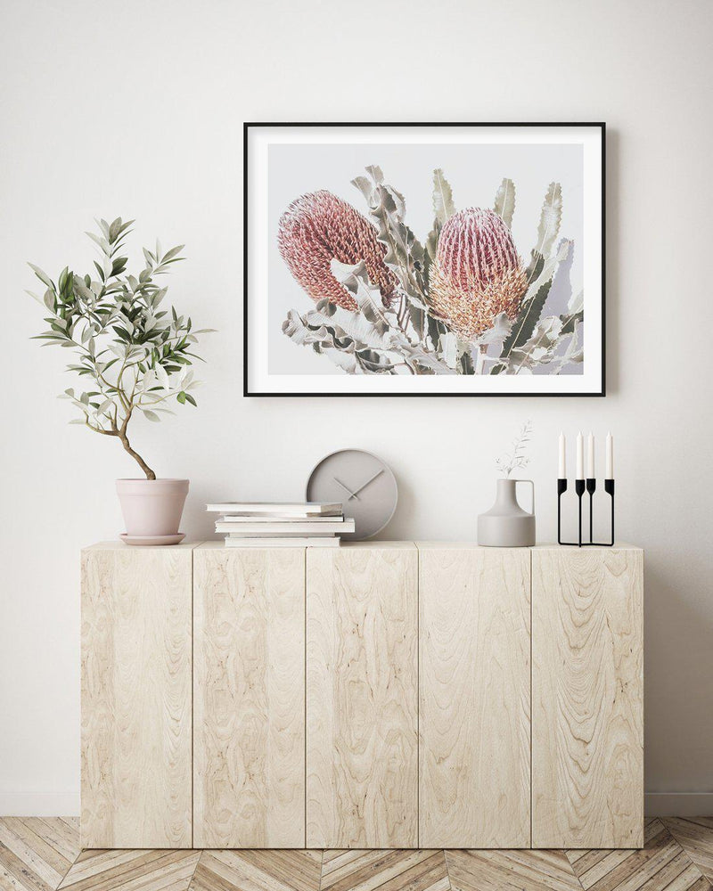 Blushing Banksia | LS Art Print-PRINT-Olive et Oriel-Olive et Oriel-Buy-Australian-Art-Prints-Online-with-Olive-et-Oriel-Your-Artwork-Specialists-Austrailia-Decorate-With-Coastal-Photo-Wall-Art-Prints-From-Our-Beach-House-Artwork-Collection-Fine-Poster-and-Framed-Artwork