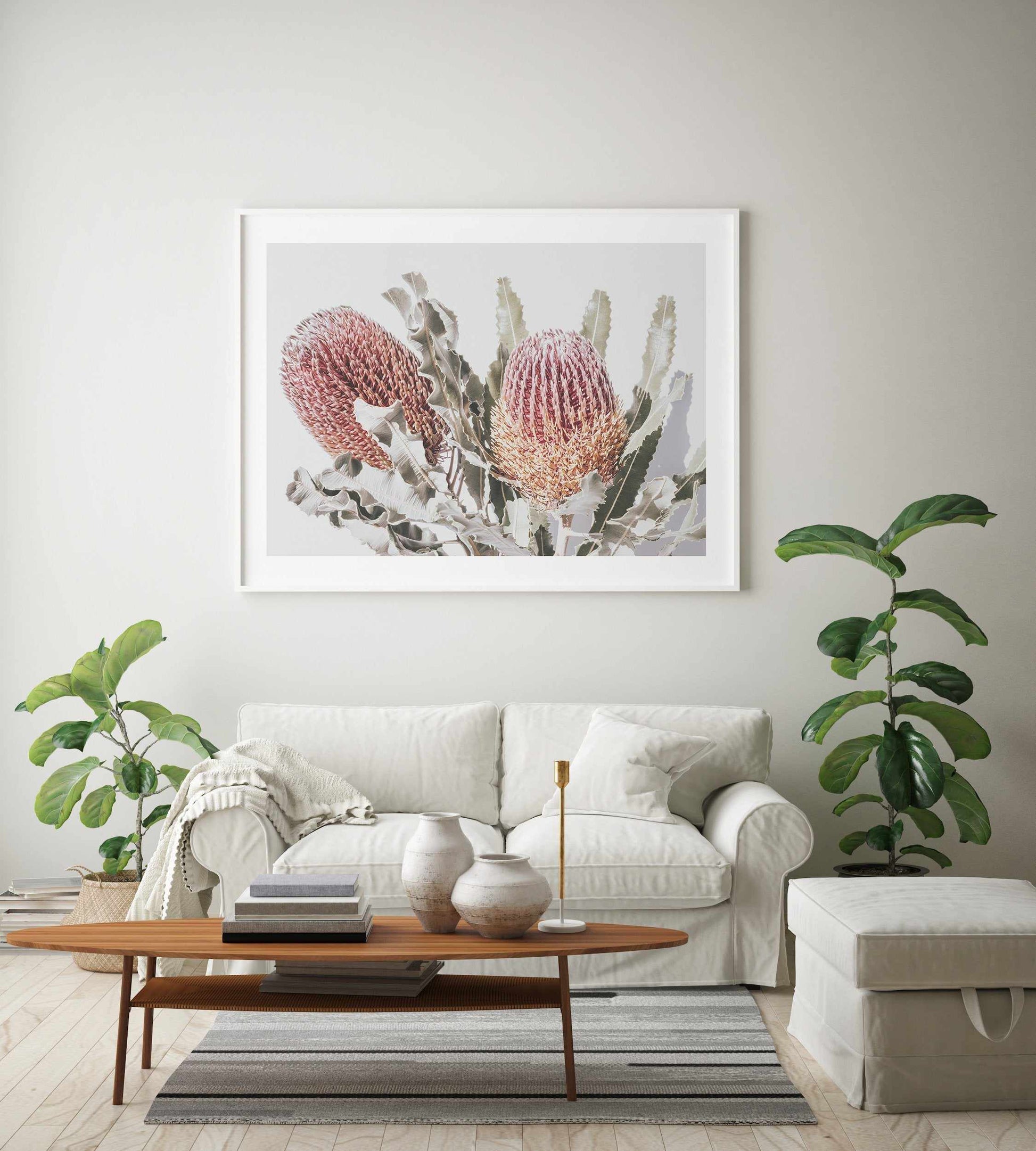 Blushing Banksia | LS Art Print-PRINT-Olive et Oriel-Olive et Oriel-Buy-Australian-Art-Prints-Online-with-Olive-et-Oriel-Your-Artwork-Specialists-Austrailia-Decorate-With-Coastal-Photo-Wall-Art-Prints-From-Our-Beach-House-Artwork-Collection-Fine-Poster-and-Framed-Artwork