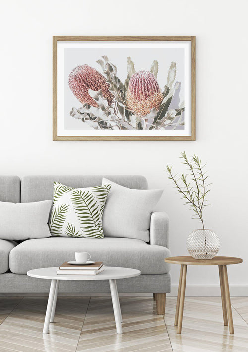 Blushing Banksia | LS Art Print-PRINT-Olive et Oriel-Olive et Oriel-Buy-Australian-Art-Prints-Online-with-Olive-et-Oriel-Your-Artwork-Specialists-Austrailia-Decorate-With-Coastal-Photo-Wall-Art-Prints-From-Our-Beach-House-Artwork-Collection-Fine-Poster-and-Framed-Artwork