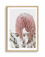 Blushing Banksia II | PT Art Print-PRINT-Olive et Oriel-Olive et Oriel-A4 | 8.3" x 11.7" | 21 x 29.7cm-Oak-With White Border-Buy-Australian-Art-Prints-Online-with-Olive-et-Oriel-Your-Artwork-Specialists-Austrailia-Decorate-With-Coastal-Photo-Wall-Art-Prints-From-Our-Beach-House-Artwork-Collection-Fine-Poster-and-Framed-Artwork