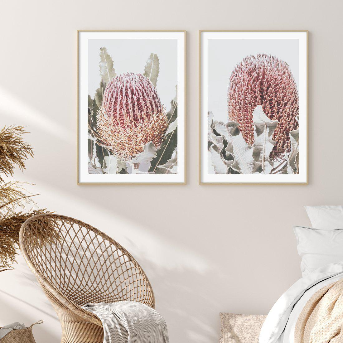 Blushing Banksia II | PT Art Print-PRINT-Olive et Oriel-Olive et Oriel-Buy-Australian-Art-Prints-Online-with-Olive-et-Oriel-Your-Artwork-Specialists-Austrailia-Decorate-With-Coastal-Photo-Wall-Art-Prints-From-Our-Beach-House-Artwork-Collection-Fine-Poster-and-Framed-Artwork