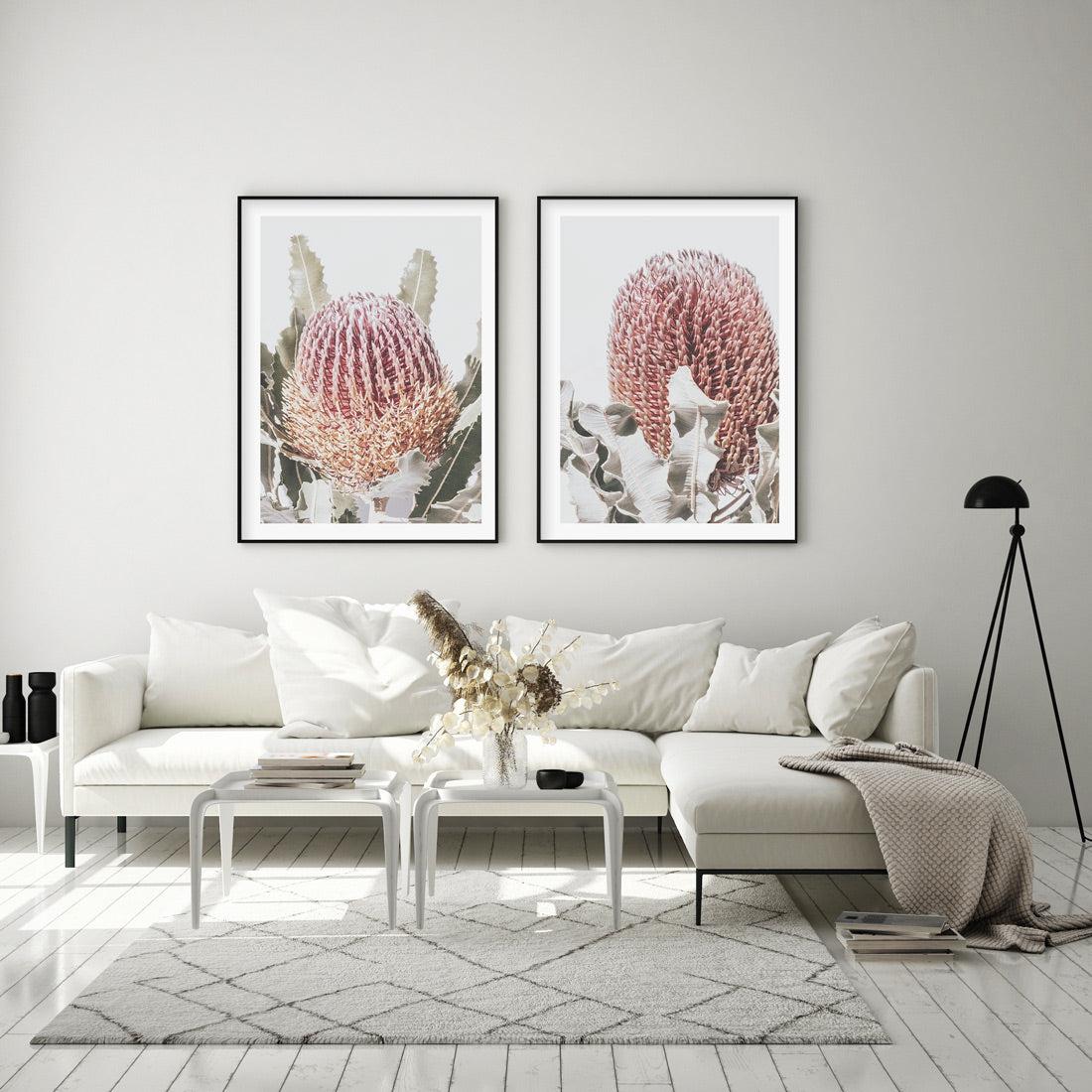 Blushing Banksia I | PT Art Print-PRINT-Olive et Oriel-Olive et Oriel-Buy-Australian-Art-Prints-Online-with-Olive-et-Oriel-Your-Artwork-Specialists-Austrailia-Decorate-With-Coastal-Photo-Wall-Art-Prints-From-Our-Beach-House-Artwork-Collection-Fine-Poster-and-Framed-Artwork