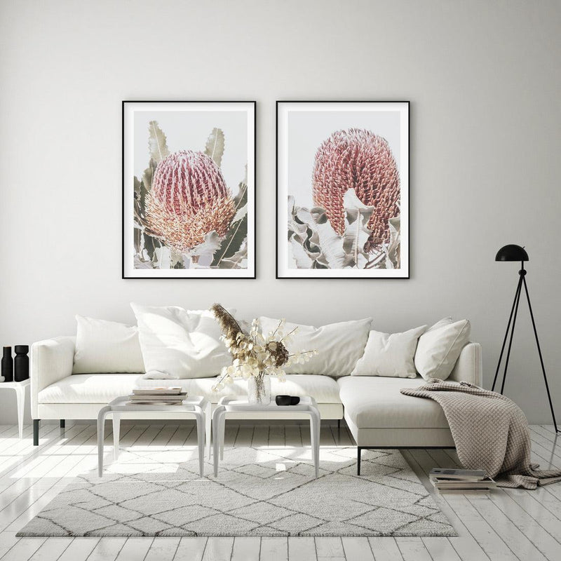 Blushing Banksia II | PT Art Print-PRINT-Olive et Oriel-Olive et Oriel-Buy-Australian-Art-Prints-Online-with-Olive-et-Oriel-Your-Artwork-Specialists-Austrailia-Decorate-With-Coastal-Photo-Wall-Art-Prints-From-Our-Beach-House-Artwork-Collection-Fine-Poster-and-Framed-Artwork
