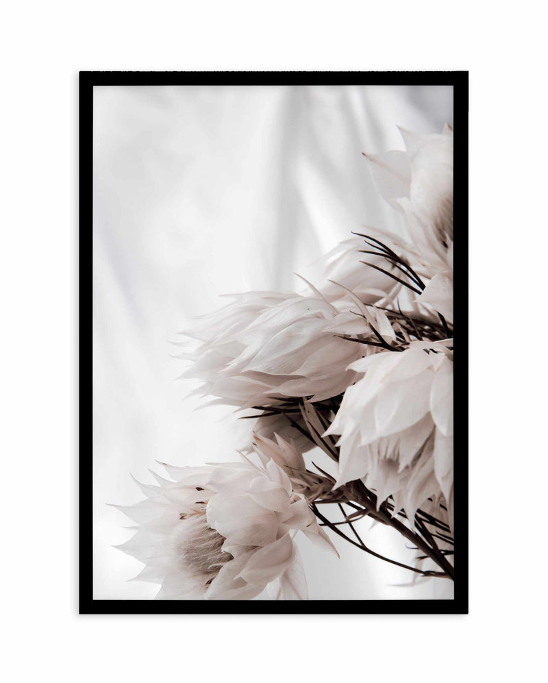 Blushing Bride | Neutrals Art Print-PRINT-Olive et Oriel-Olive et Oriel-A5 | 5.8" x 8.3" | 14.8 x 21cm-Black-With White Border-Buy-Australian-Art-Prints-Online-with-Olive-et-Oriel-Your-Artwork-Specialists-Austrailia-Decorate-With-Coastal-Photo-Wall-Art-Prints-From-Our-Beach-House-Artwork-Collection-Fine-Poster-and-Framed-Artwork