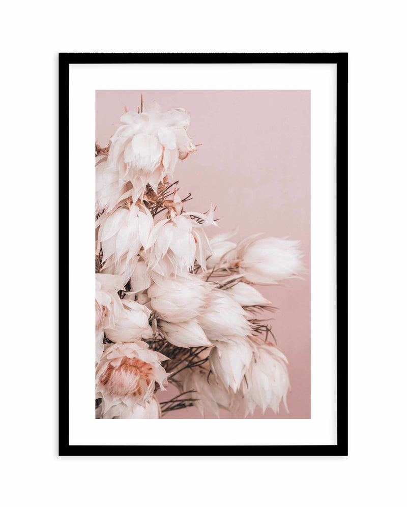 Blushing Bride II Art Print-PRINT-Olive et Oriel-Olive et Oriel-A5 | 5.8" x 8.3" | 14.8 x 21cm-Black-With White Border-Buy-Australian-Art-Prints-Online-with-Olive-et-Oriel-Your-Artwork-Specialists-Austrailia-Decorate-With-Coastal-Photo-Wall-Art-Prints-From-Our-Beach-House-Artwork-Collection-Fine-Poster-and-Framed-Artwork