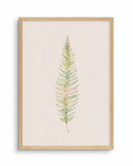 Blushing Fern I | Watercolor Art Print-PRINT-Olive et Oriel-Olive et Oriel-A4 | 8.3" x 11.7" | 21 x 29.7cm-Oak-With White Border-Buy-Australian-Art-Prints-Online-with-Olive-et-Oriel-Your-Artwork-Specialists-Austrailia-Decorate-With-Coastal-Photo-Wall-Art-Prints-From-Our-Beach-House-Artwork-Collection-Fine-Poster-and-Framed-Artwork