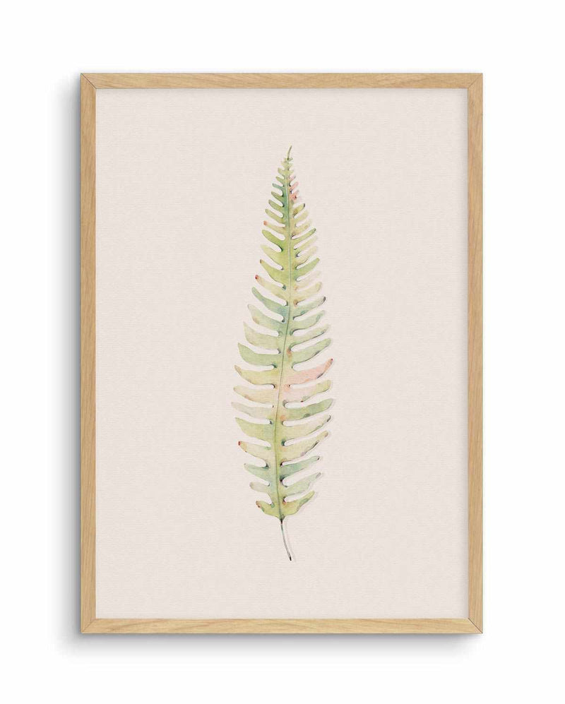 Blushing Fern I | Watercolor Art Print-PRINT-Olive et Oriel-Olive et Oriel-A4 | 8.3" x 11.7" | 21 x 29.7cm-Oak-With White Border-Buy-Australian-Art-Prints-Online-with-Olive-et-Oriel-Your-Artwork-Specialists-Austrailia-Decorate-With-Coastal-Photo-Wall-Art-Prints-From-Our-Beach-House-Artwork-Collection-Fine-Poster-and-Framed-Artwork