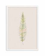 Blushing Fern I | Watercolor Art Print-PRINT-Olive et Oriel-Olive et Oriel-A4 | 8.3" x 11.7" | 21 x 29.7cm-White-With White Border-Buy-Australian-Art-Prints-Online-with-Olive-et-Oriel-Your-Artwork-Specialists-Austrailia-Decorate-With-Coastal-Photo-Wall-Art-Prints-From-Our-Beach-House-Artwork-Collection-Fine-Poster-and-Framed-Artwork