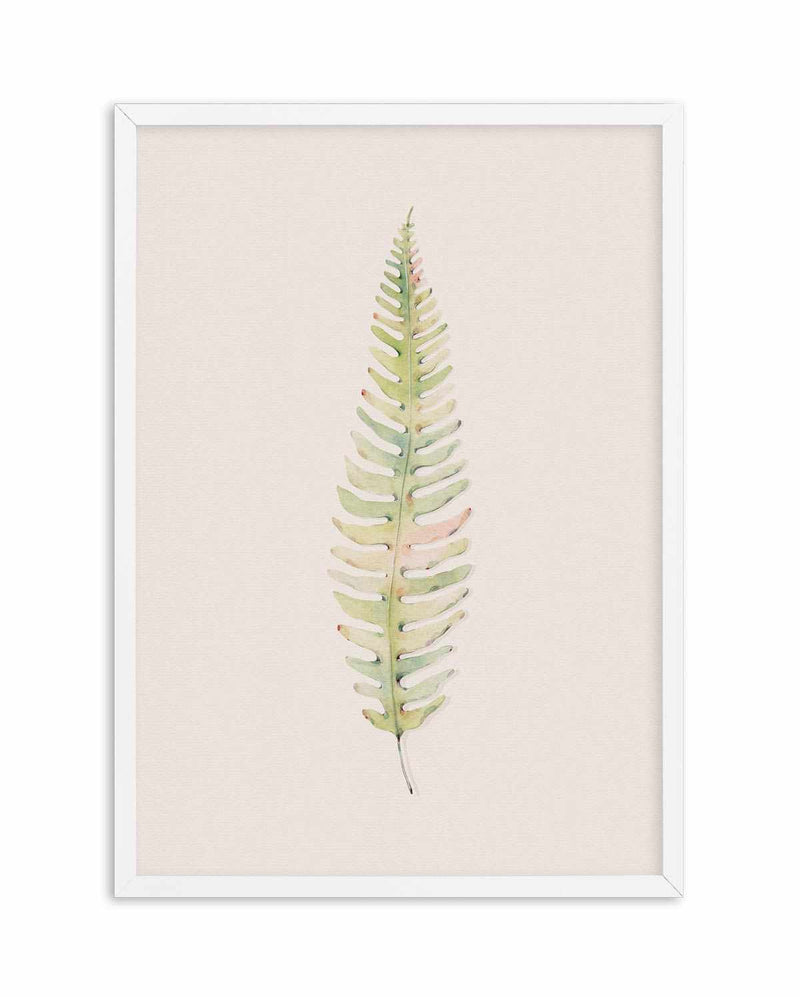 Blushing Fern I | Watercolor Art Print-PRINT-Olive et Oriel-Olive et Oriel-A4 | 8.3" x 11.7" | 21 x 29.7cm-White-With White Border-Buy-Australian-Art-Prints-Online-with-Olive-et-Oriel-Your-Artwork-Specialists-Austrailia-Decorate-With-Coastal-Photo-Wall-Art-Prints-From-Our-Beach-House-Artwork-Collection-Fine-Poster-and-Framed-Artwork