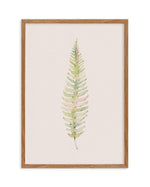 Blushing Fern I | Watercolor Art Print-PRINT-Olive et Oriel-Olive et Oriel-50x70 cm | 19.6" x 27.5"-Walnut-With White Border-Buy-Australian-Art-Prints-Online-with-Olive-et-Oriel-Your-Artwork-Specialists-Austrailia-Decorate-With-Coastal-Photo-Wall-Art-Prints-From-Our-Beach-House-Artwork-Collection-Fine-Poster-and-Framed-Artwork
