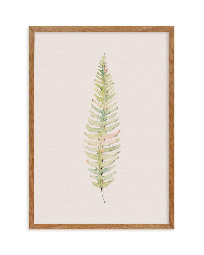 Blushing Fern I | Watercolor Art Print-PRINT-Olive et Oriel-Olive et Oriel-50x70 cm | 19.6" x 27.5"-Walnut-With White Border-Buy-Australian-Art-Prints-Online-with-Olive-et-Oriel-Your-Artwork-Specialists-Austrailia-Decorate-With-Coastal-Photo-Wall-Art-Prints-From-Our-Beach-House-Artwork-Collection-Fine-Poster-and-Framed-Artwork
