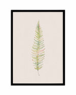Blushing Fern I | Watercolor Art Print-PRINT-Olive et Oriel-Olive et Oriel-A4 | 8.3" x 11.7" | 21 x 29.7cm-Black-With White Border-Buy-Australian-Art-Prints-Online-with-Olive-et-Oriel-Your-Artwork-Specialists-Austrailia-Decorate-With-Coastal-Photo-Wall-Art-Prints-From-Our-Beach-House-Artwork-Collection-Fine-Poster-and-Framed-Artwork
