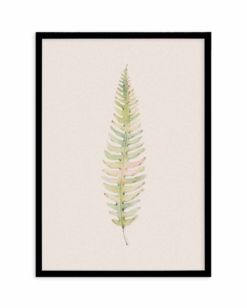 Blushing Fern I | Watercolor Art Print-PRINT-Olive et Oriel-Olive et Oriel-A4 | 8.3" x 11.7" | 21 x 29.7cm-Black-With White Border-Buy-Australian-Art-Prints-Online-with-Olive-et-Oriel-Your-Artwork-Specialists-Austrailia-Decorate-With-Coastal-Photo-Wall-Art-Prints-From-Our-Beach-House-Artwork-Collection-Fine-Poster-and-Framed-Artwork