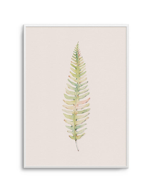 Blushing Fern I | Watercolor Art Print-PRINT-Olive et Oriel-Olive et Oriel-A4 | 8.3" x 11.7" | 21 x 29.7cm-Unframed Art Print-With White Border-Buy-Australian-Art-Prints-Online-with-Olive-et-Oriel-Your-Artwork-Specialists-Austrailia-Decorate-With-Coastal-Photo-Wall-Art-Prints-From-Our-Beach-House-Artwork-Collection-Fine-Poster-and-Framed-Artwork